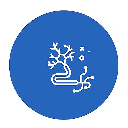 神經(jīng)研究