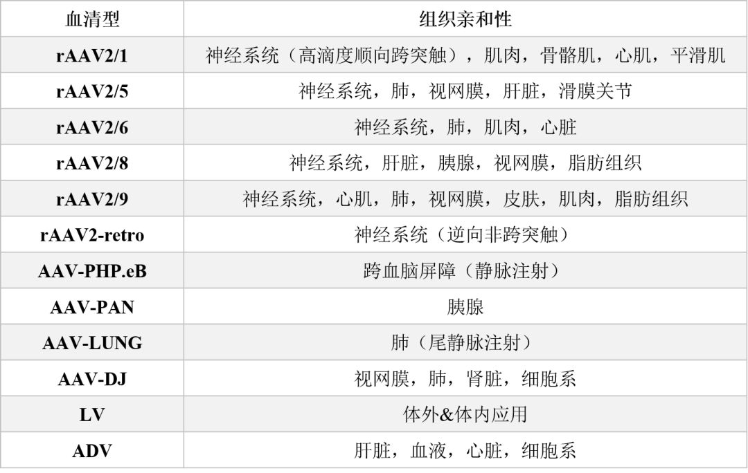 潘多拉魔盒(PANDORA'S Virusbox)——腺相關(guān)病毒