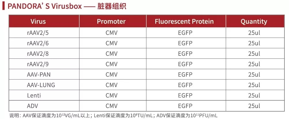 潘多拉魔盒(PANDORA'S Virusbox)——腺相關(guān)病毒