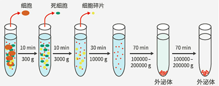 外泌體超離大致步驟