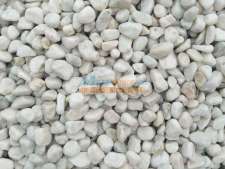 水洗石價(jià)格 要買好的水洗石上哪里
